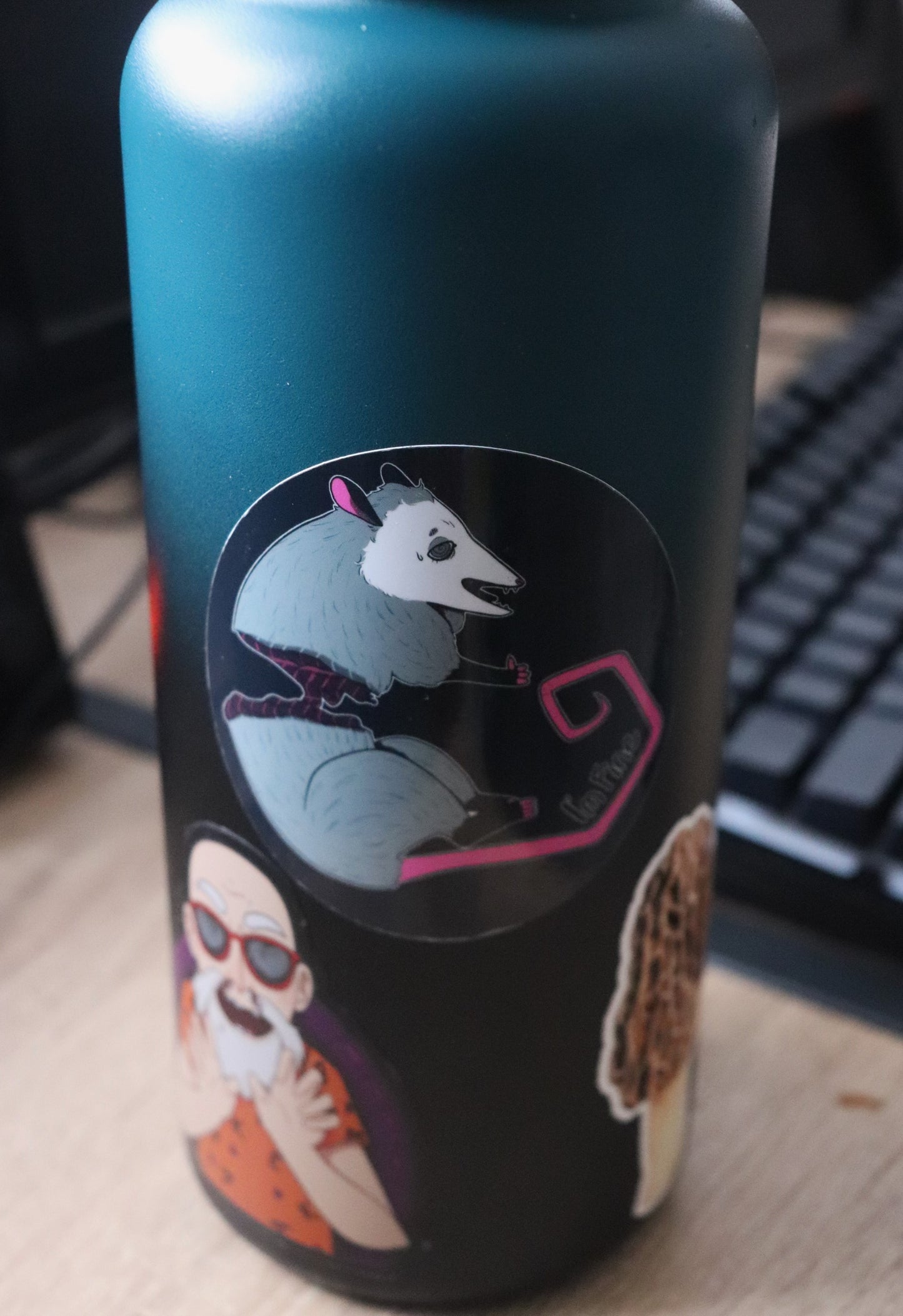 Possum sticker